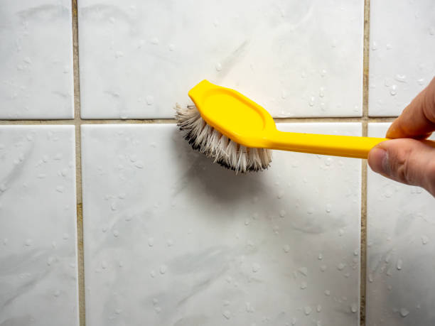 Best Post-Flood Mold Remediation in Williamstown, NJ