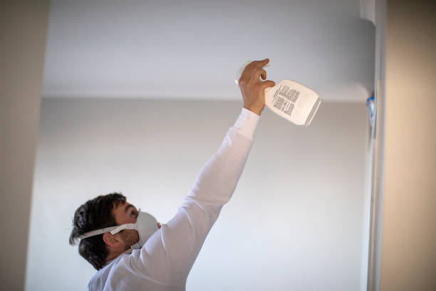Best Basement Mold Remediation in Williamstown, NJ